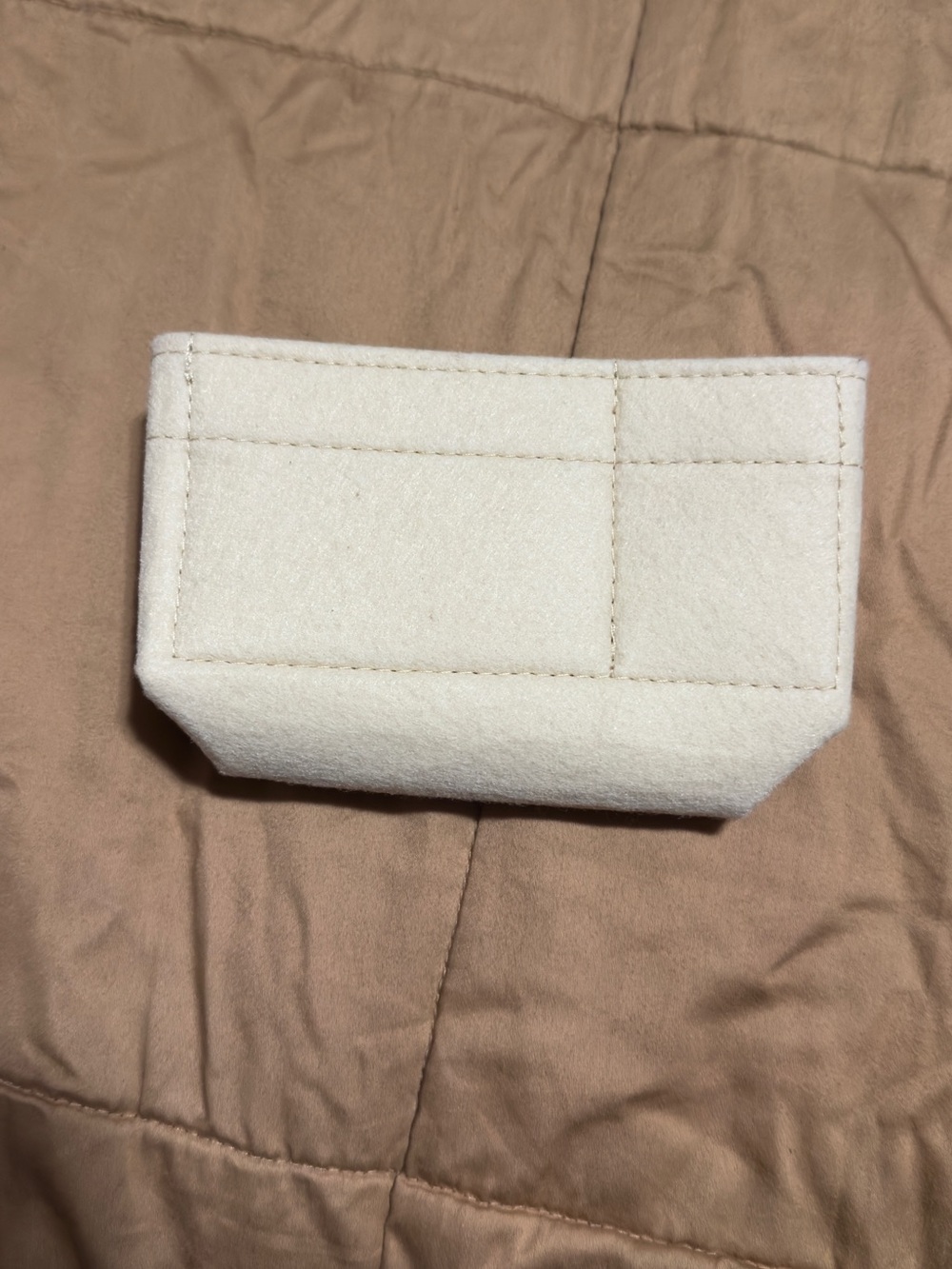 Longchamp Mini Bag Organizer NEW